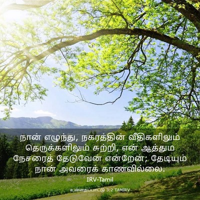 Picture 03 - உன்னதப்பாட்டு 3:2 TAMIRV - நான் எழுந்து, - Bible Verse Picture