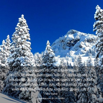 Picture 03 - உன்னதப்பாட்டு 3:6 TAMIRV -  - Bible Verse Picture