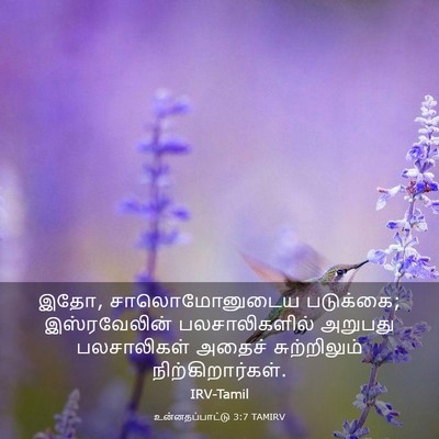 Picture 03 - உன்னதப்பாட்டு 3:7 TAMIRV - இதோ, சாலொமோனுடைய - Bible Verse Picture