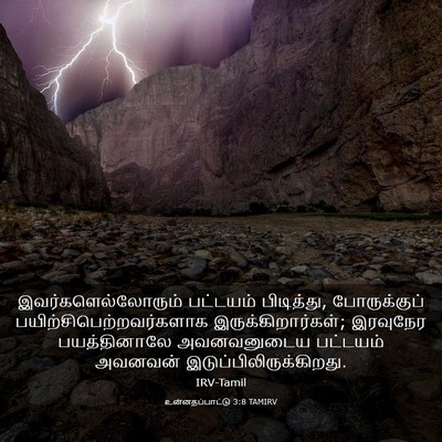 Picture 03 - உன்னதப்பாட்டு 3:8 TAMIRV - இவர்களெல்லோரும் - Bible Verse Picture