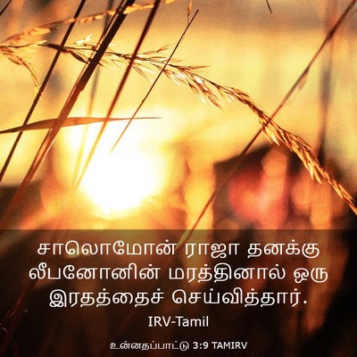 Picture 03 - உன்னதப்பாட்டு 3:9 TAMIRV - சாலொமோன் ராஜா - Bible Verse Picture