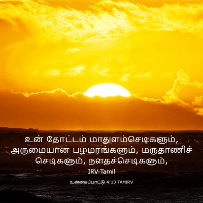Picture 03 - உன்னதப்பாட்டு 4:13 TAMIRV - உன் தோட்டம் - Bible Verse Picture