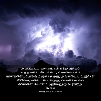 Picture 03 - உன்னதப்பாட்டு 5:13 TAMIRV - அவருடைய கன்னங்கள் - Bible Verse Picture