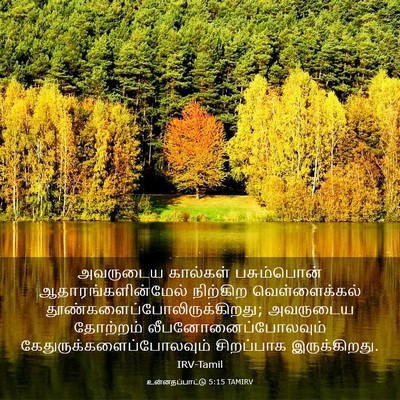 Picture 03 - உன்னதப்பாட்டு 5:15 TAMIRV - அவருடைய கால்கள் - Bible Verse Picture