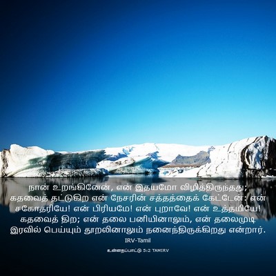 Picture 03 - உன்னதப்பாட்டு 5:2 TAMIRV - நான் உறங்கினேன், - Bible Verse Picture