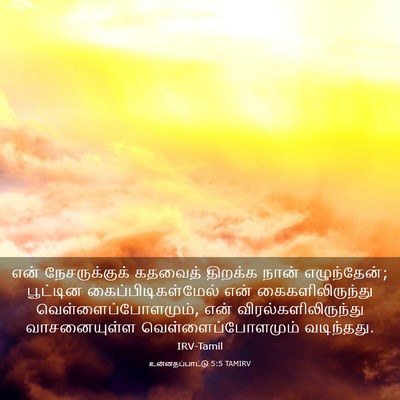 Picture 03 - உன்னதப்பாட்டு 5:5 TAMIRV - என் நேசருக்குக் - Bible Verse Picture