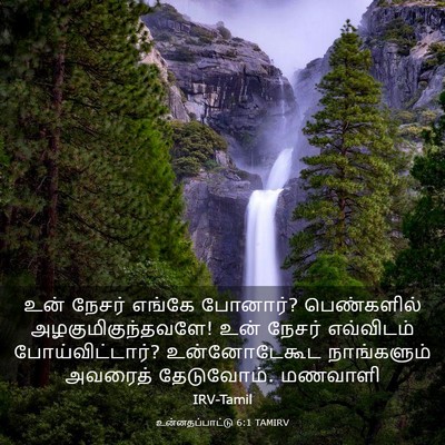Picture 03 - உன்னதப்பாட்டு 6:1 TAMIRV - உன் நேசர் எங்கே - Bible Verse Picture