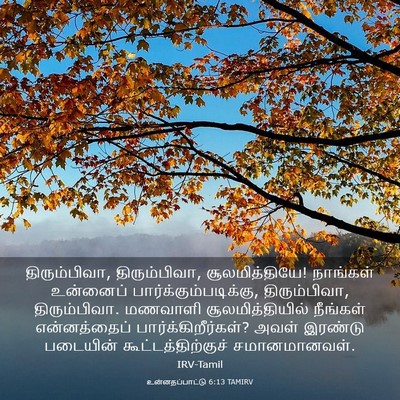Picture 03 - உன்னதப்பாட்டு 6:13 TAMIRV - திரும்பிவா, - Bible Verse Picture
