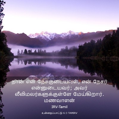 Picture 03 - உன்னதப்பாட்டு 6:3 TAMIRV - நான் என் - Bible Verse Picture
