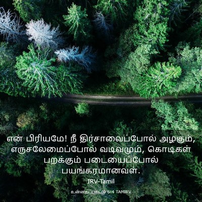 Picture 03 - உன்னதப்பாட்டு 6:4 TAMIRV - என் பிரியமே! நீ - Bible Verse Picture