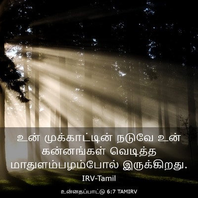 Picture 03 - உன்னதப்பாட்டு 6:7 TAMIRV - உன் முக்காட்டின் - Bible Verse Picture