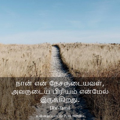 Picture 03 - உன்னதப்பாட்டு 7:10 TAMIRV - நான் என் - Bible Verse Picture