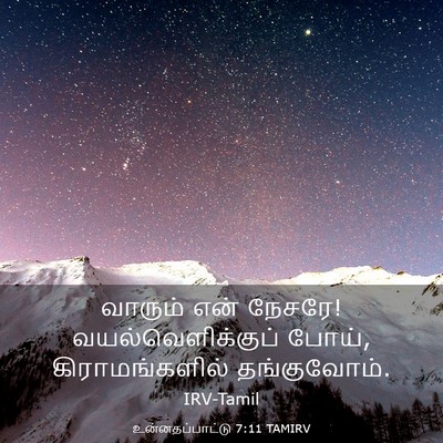 Picture 03 - உன்னதப்பாட்டு 7:11 TAMIRV - வாரும் என் நேசரே! - Bible Verse Picture