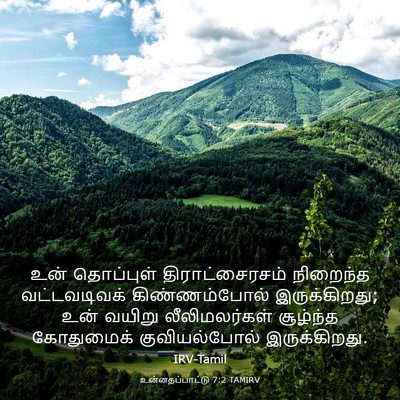 Picture 03 - உன்னதப்பாட்டு 7:2 TAMIRV - உன் தொப்புள் - Bible Verse Picture