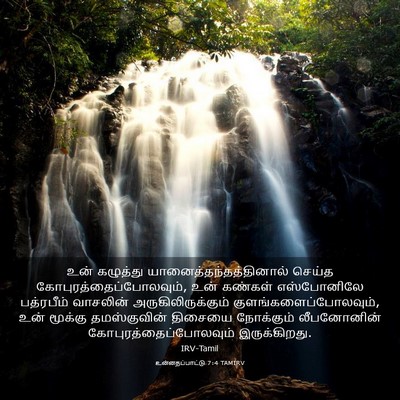 Picture 03 - உன்னதப்பாட்டு 7:4 TAMIRV - உன் கழுத்து - Bible Verse Picture