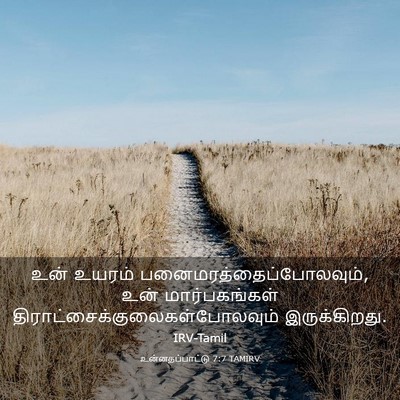 Picture 03 - உன்னதப்பாட்டு 7:7 TAMIRV - உன் உயரம் - Bible Verse Picture