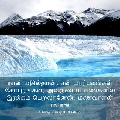 Picture 03 - உன்னதப்பாட்டு 8:10 TAMIRV - நான் மதில்தான், - Bible Verse Picture