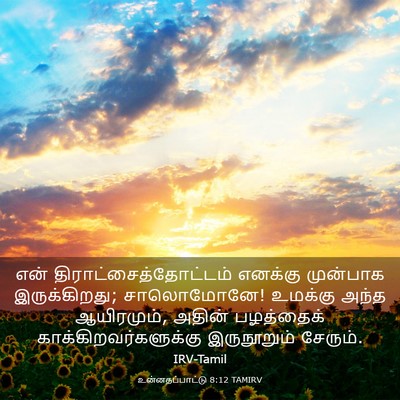 Picture 03 - உன்னதப்பாட்டு 8:12 TAMIRV - என் - Bible Verse Picture