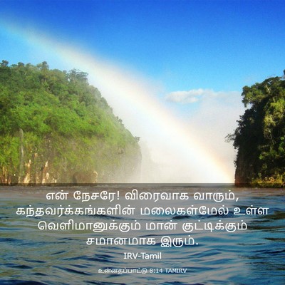 Picture 03 - உன்னதப்பாட்டு 8:14 TAMIRV - என் நேசரே! விரைவாக - Bible Verse Picture
