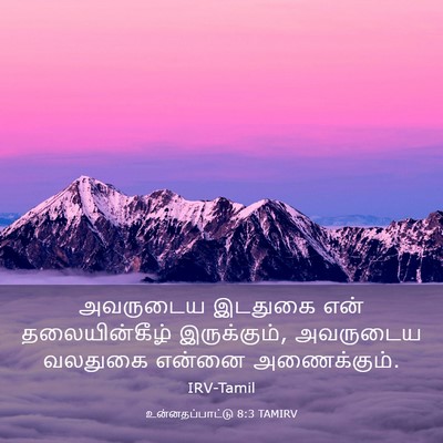 Picture 03 - உன்னதப்பாட்டு 8:3 TAMIRV - அவருடைய இடதுகை - Bible Verse Picture
