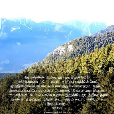 Picture 03 - உன்னதப்பாட்டு 8:6 TAMIRV - நீர் என்னை உமது - Bible Verse Picture