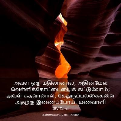 Picture 03 - உன்னதப்பாட்டு 8:9 TAMIRV - அவள் ஒரு - Bible Verse Picture