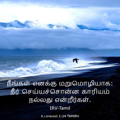Picture 03 - உபாகமம் 1:14 TAMIRV - நீங்கள் எனக்கு - Bible Verse Picture