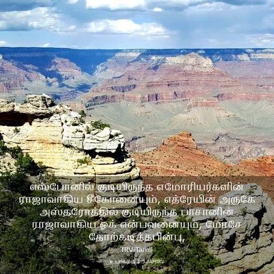 Picture 03 - உபாகமம் 1:3 TAMIRV - எஸ்போனில் - Bible Verse Picture