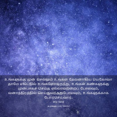 Picture 03 - உபாகமம் 1:30 TAMIRV - உங்களுக்கு முன் - Bible Verse Picture