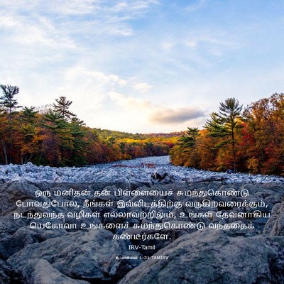 Picture 03 - உபாகமம் 1:31 TAMIRV - ஒரு மனிதன் தன் - Bible Verse Picture