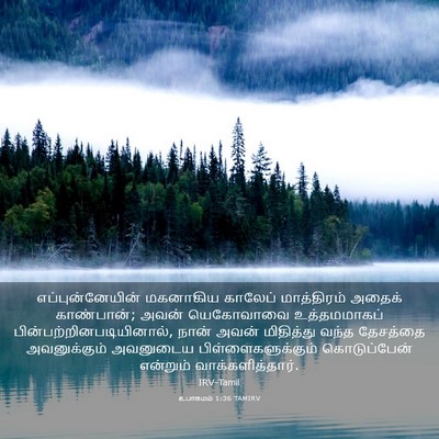 Picture 03 - உபாகமம் 1:36 TAMIRV - எப்புன்னேயின் - Bible Verse Picture