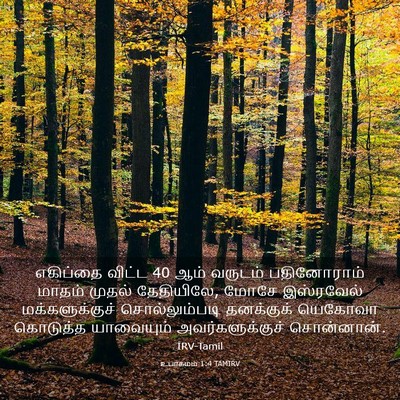 Picture 03 - உபாகமம் 1:4 TAMIRV - எகிப்தை விட்ட 40 - Bible Verse Picture