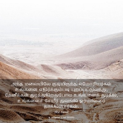Picture 03 - உபாகமம் 1:44 TAMIRV - அந்த மலையிலே - Bible Verse Picture