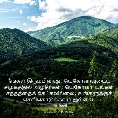 Picture 03 - உபாகமம் 1:45 TAMIRV - நீங்கள் - Bible Verse Picture