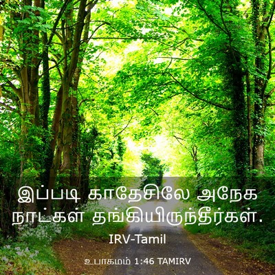 Picture 03 - உபாகமம் 1:46 TAMIRV - இப்படி காதேசிலே - Bible Verse Picture