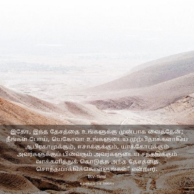Picture 03 - உபாகமம் 1:8 TAMIRV - இதோ, இந்த தேசத்தை - Bible Verse Picture