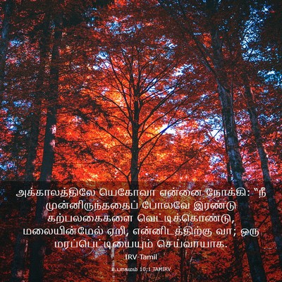 Picture 03 - உபாகமம் 10:1 TAMIRV - அக்காலத்திலே - Bible Verse Picture