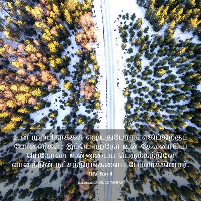 Picture 03 - உபாகமம் 10:22 TAMIRV - உன் முற்பிதாக்கள் - Bible Verse Picture