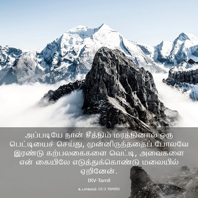 Picture 03 - உபாகமம் 10:3 TAMIRV - அப்படியே நான் - Bible Verse Picture