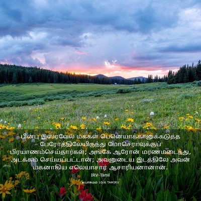 Picture 03 - உபாகமம் 10:6 TAMIRV - பின்பு இஸ்ரவேல் - Bible Verse Picture