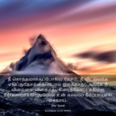 Picture 03 - உபாகமம் 11:10 TAMIRV - நீ - Bible Verse Picture