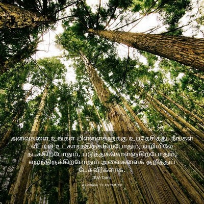 Picture 03 - உபாகமம் 11:20 TAMIRV - அவைகளை உங்கள் - Bible Verse Picture