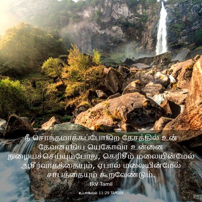 Picture 03 - உபாகமம் 11:29 TAMIRV - நீ - Bible Verse Picture