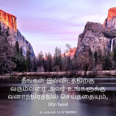 Picture 03 - உபாகமம் 11:5 TAMIRV - நீங்கள் - Bible Verse Picture