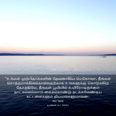 Picture 03 - உபாகமம் 12:1 TAMIRV - “உங்கள் - Bible Verse Picture