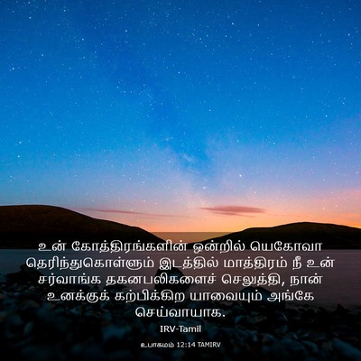 Picture 03 - உபாகமம் 12:14 TAMIRV - உன் - Bible Verse Picture