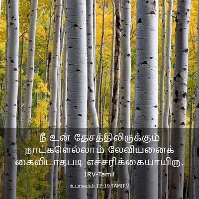 Picture 03 - உபாகமம் 12:19 TAMIRV - நீ உன் - Bible Verse Picture