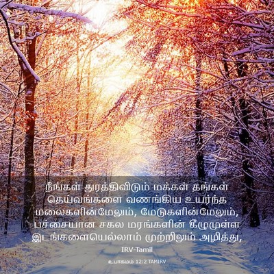 Picture 03 - உபாகமம் 12:2 TAMIRV - நீங்கள் - Bible Verse Picture