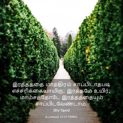 Picture 03 - உபாகமம் 12:23 TAMIRV - இரத்தத்தை - Bible Verse Picture