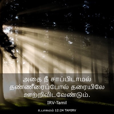 Picture 03 - உபாகமம் 12:24 TAMIRV - அதை நீ - Bible Verse Picture